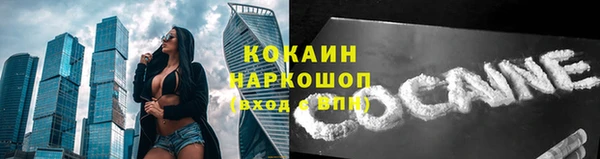стаф Покачи