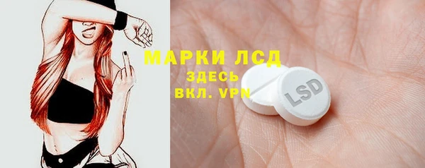 стаф Покачи
