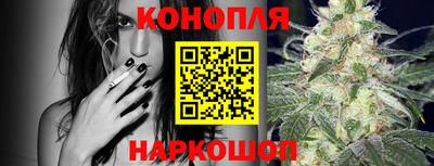 mdpv Ачхой-Мартан