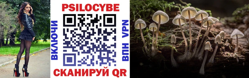 omg рабочий сайт  Братск  Псилоцибиновые грибы Psilocybine cubensis  цена наркотик 