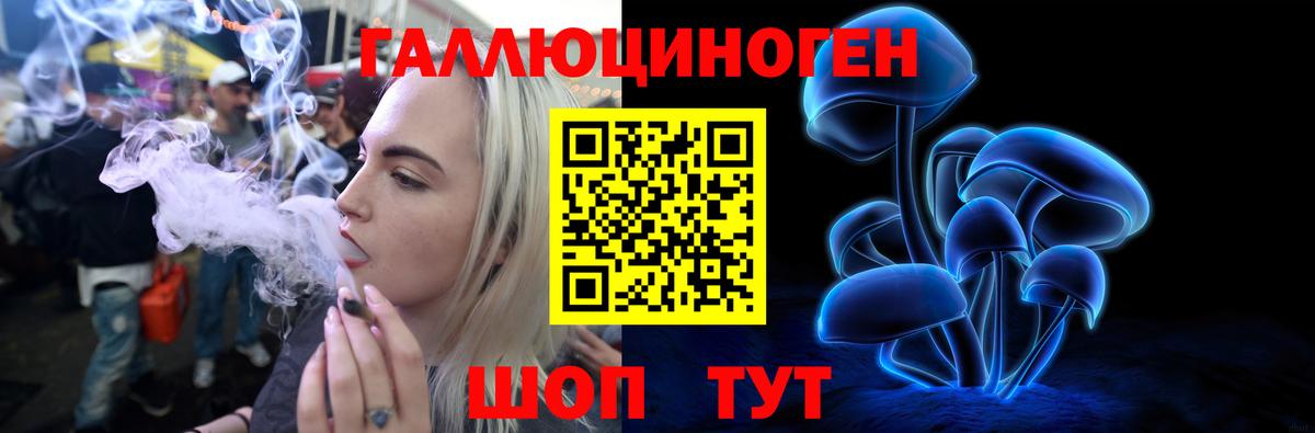Псилоцибиновые грибы Psilocybe Братск
